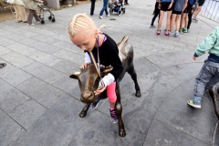 044-044-dij-0601-1_orig