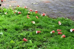 075-075-dij-0748-1_orig